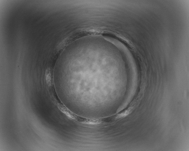 X0000084030720200702161434