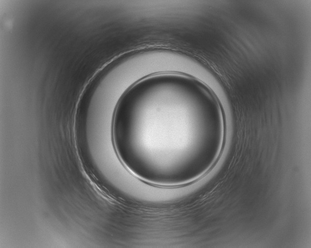 X0000084030722200702161434