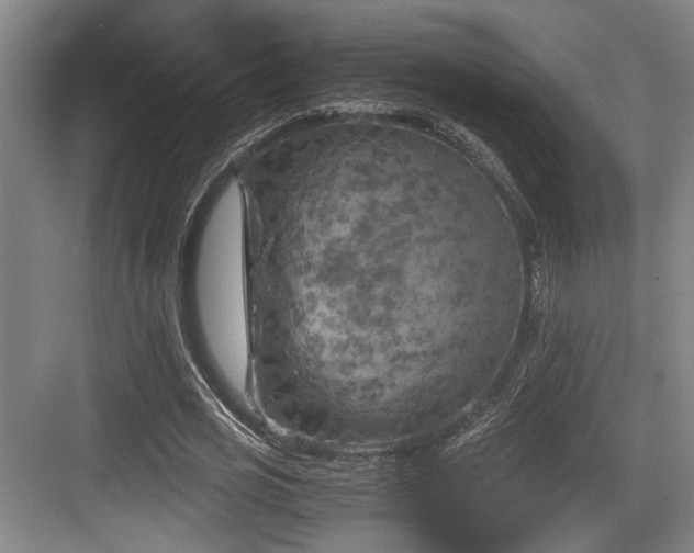 X0000084030725200702161434