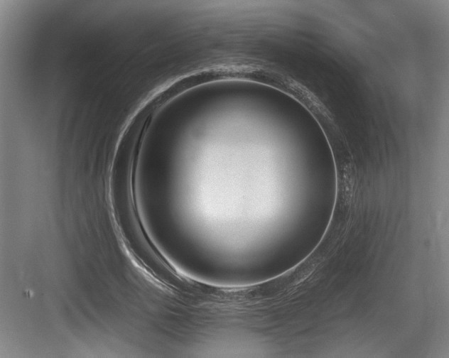 X0000084030726200702161434