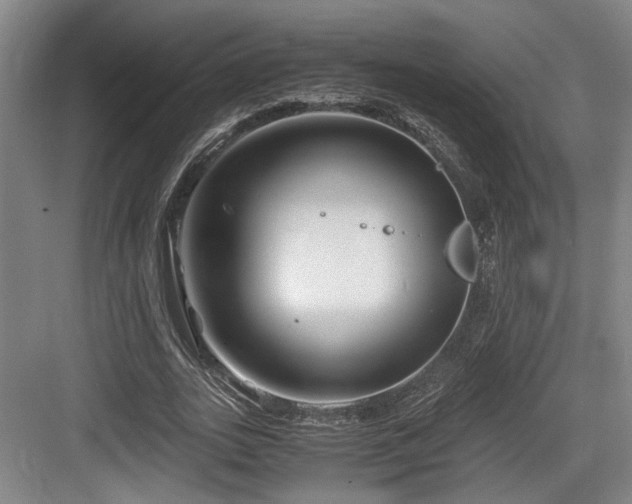 X0000084030727200702161434