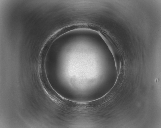 X0000084030728200702161434