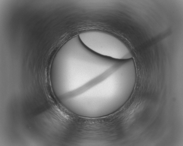 X0000084030729200702161434