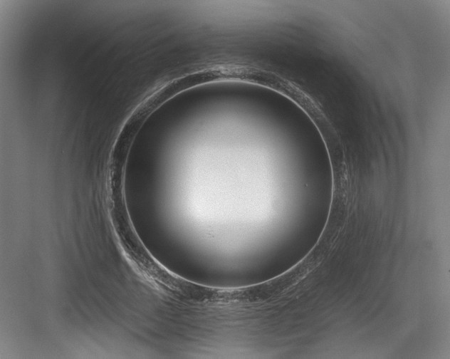 X0000084030730200702161434