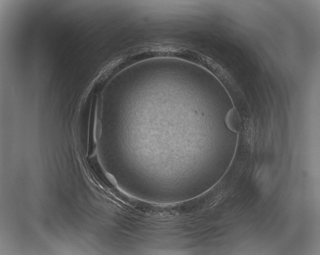 X0000084030731200702161434