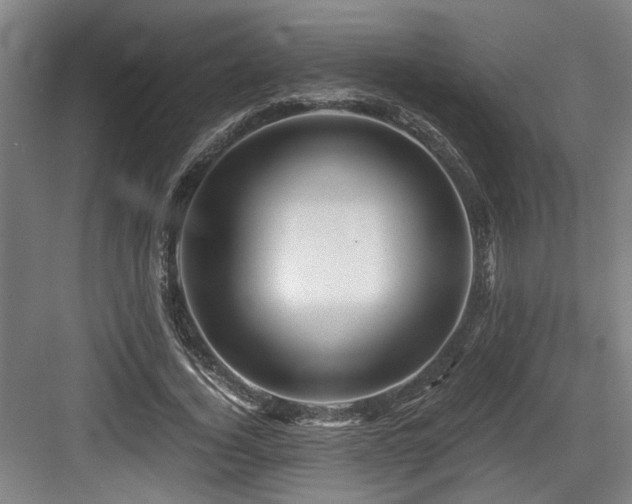 X0000084030732200702161434