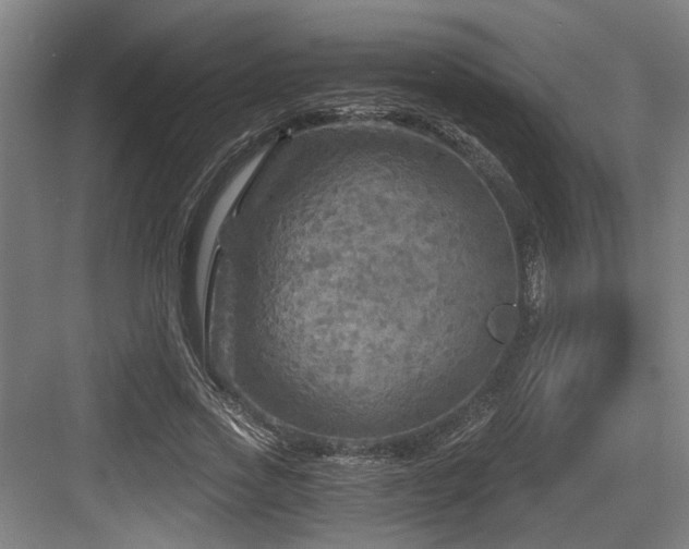 X0000084030733200702161434