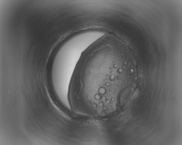 X0000084030734200702161434