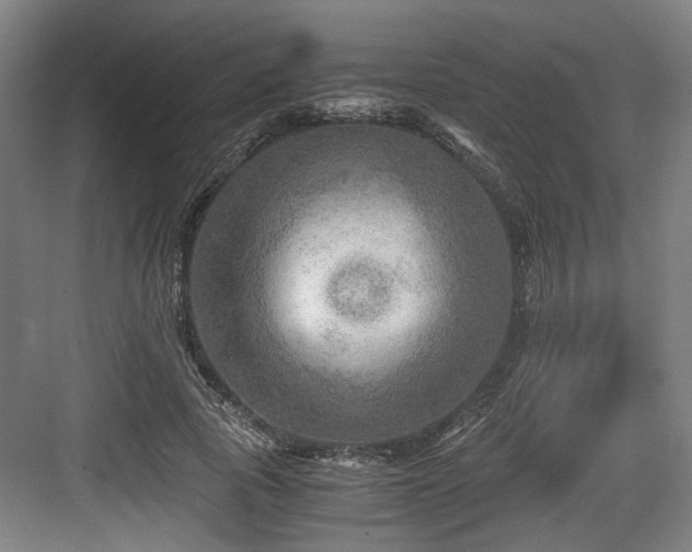 X0000084030737200702161434