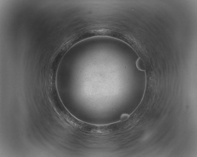 X0000084030739200702161434