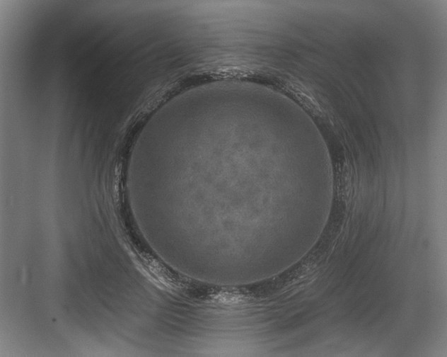 X0000084030742200702161434