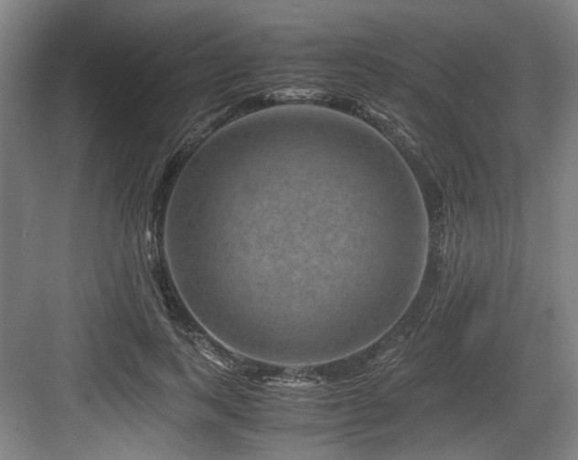 X0000084030743200702161434