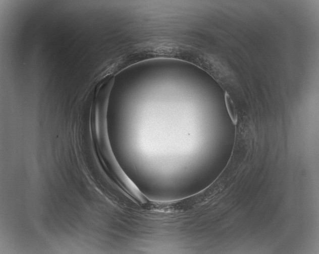 X0000084030744200702161434