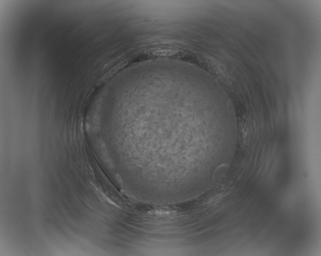 X0000084030745200702161434