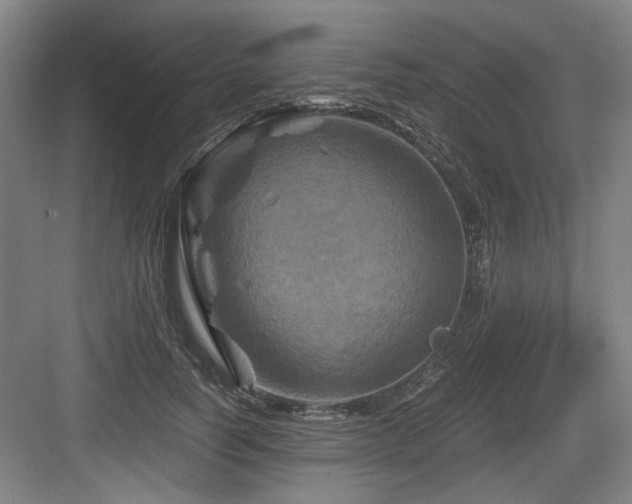 X0000084030746200702161434