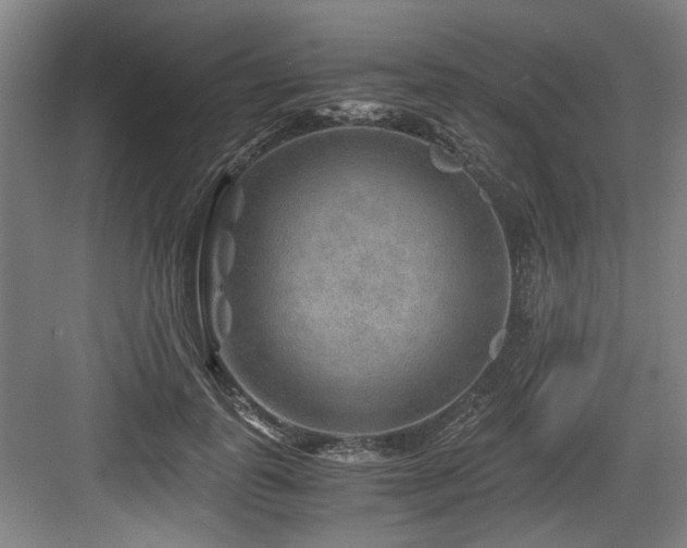 X0000084030747200702161434