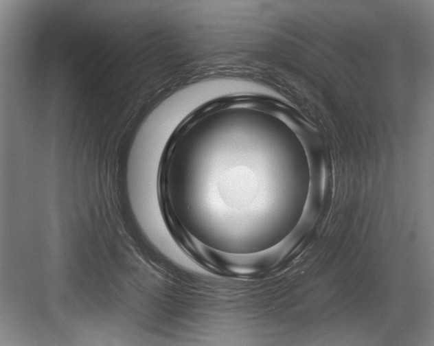 X0000084030748200702161434