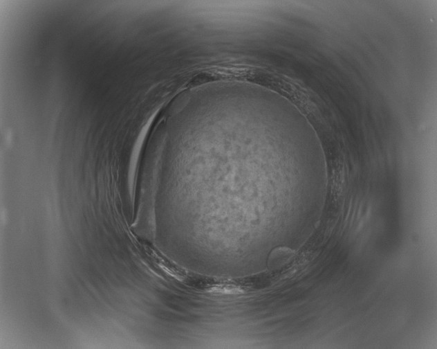 X0000084030749200702161434