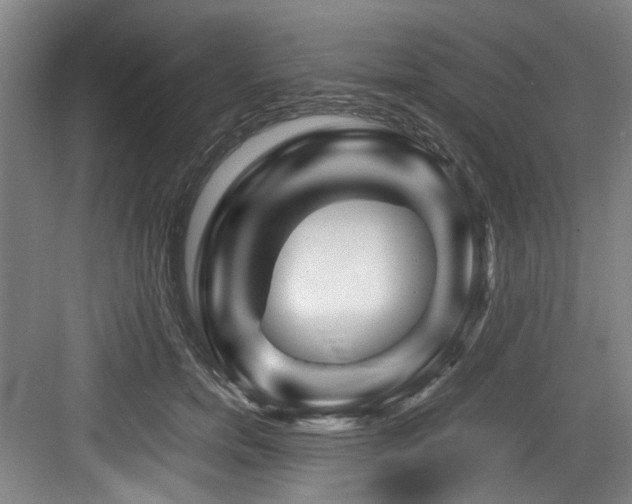 X0000084030750200702161434