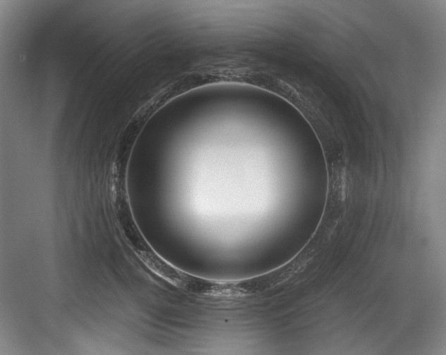 X0000084030752200702161434