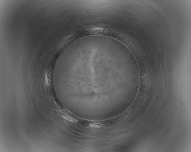 X0000084030753200702161434