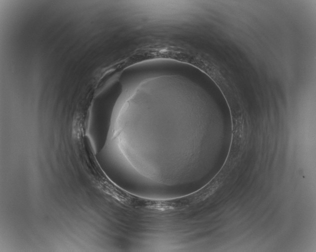 X0000084030754200702161434