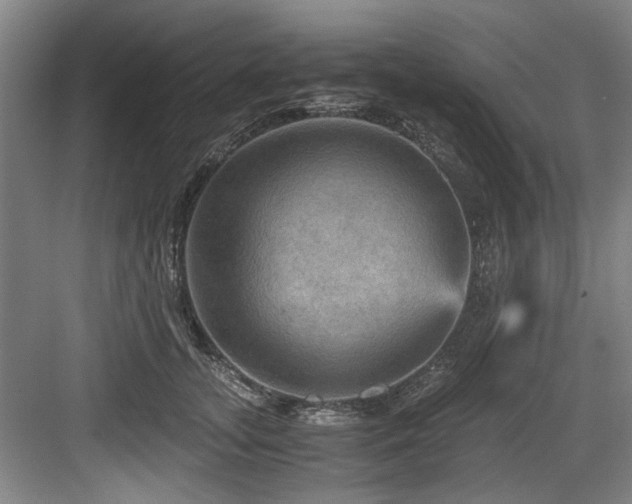 X0000084030755200702161434