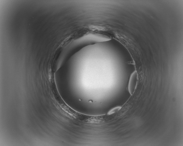 X0000084030756200702161434