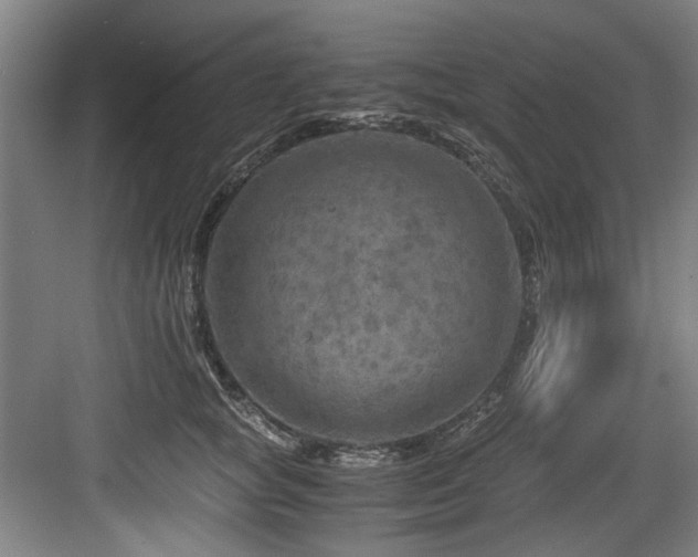 X0000084030757200702161434