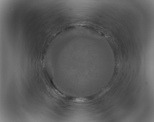 X0000084030758200702161434