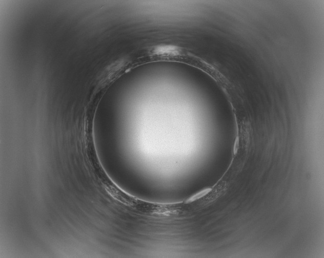 X0000084030760200702161434