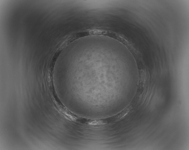 X0000084030761200702161434