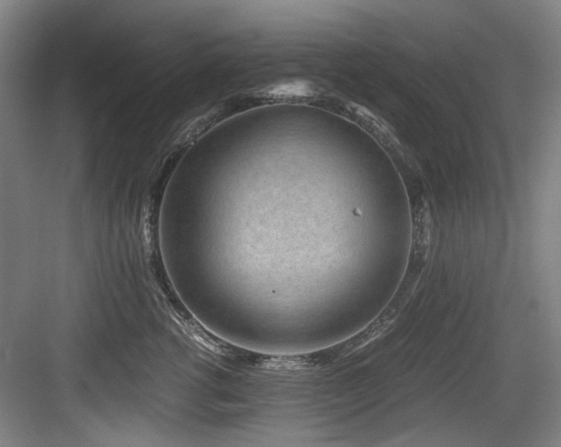 X0000084030762200702161434