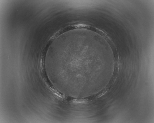 X0000084030763200702161434