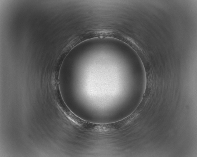 X0000084030764200702161434