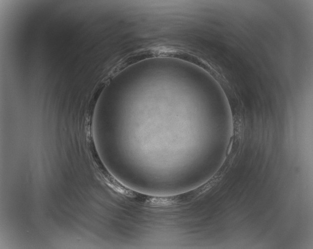 X0000084030766200702161434