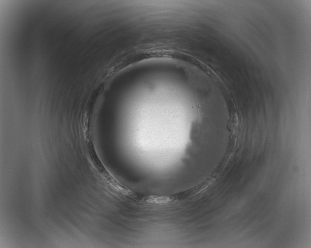 X0000084030767200702161434