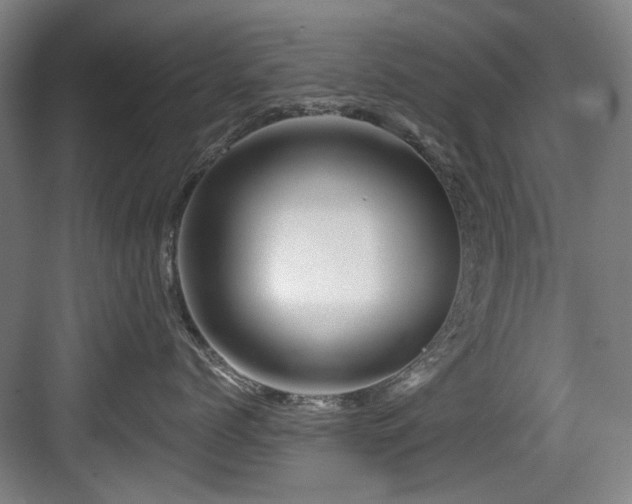 X0000084030768200702161434