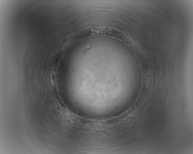 X0000084030770200702161434