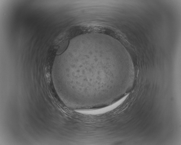 X0000084030771200702161434