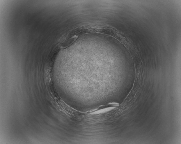 X0000084030772200702161434