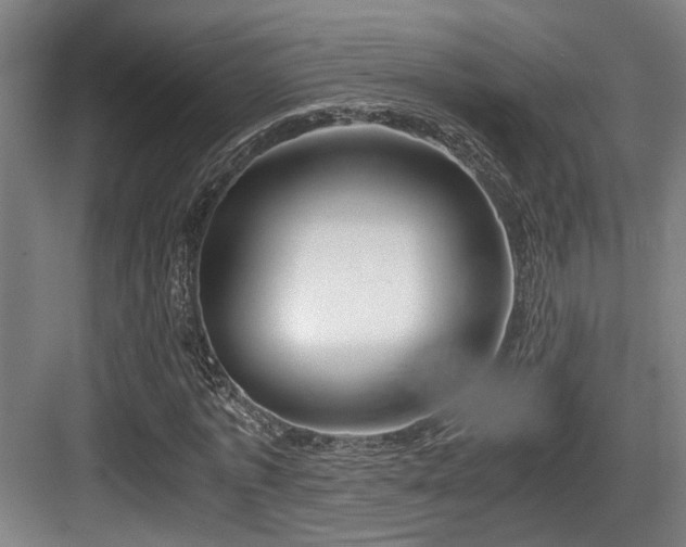 X0000084030773200702161433