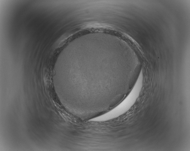 X0000084030775200702161433