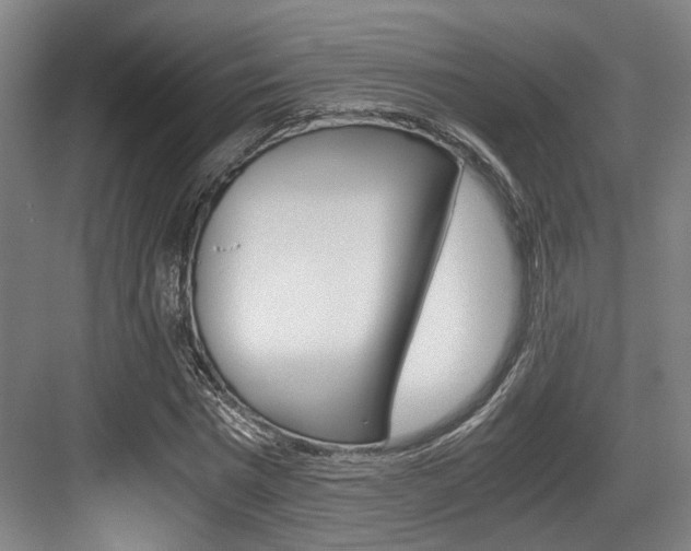 X0000084030777200702161433