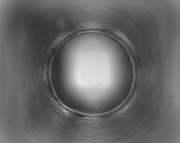 X0000084030778200702161433