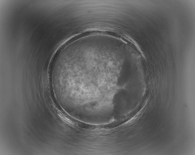 X0000084030779200702161433