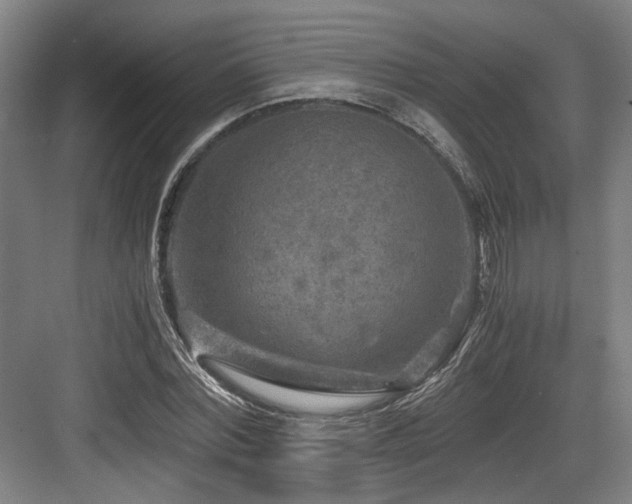 X0000084030780200702161433