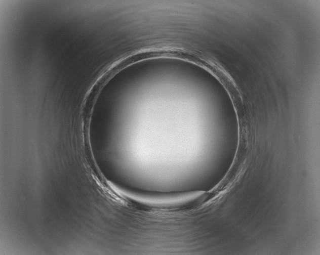 X0000084030781200702161433