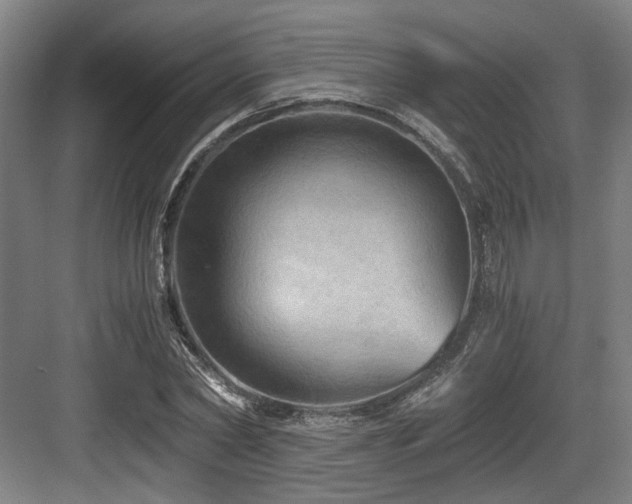 X0000084030782200702161433