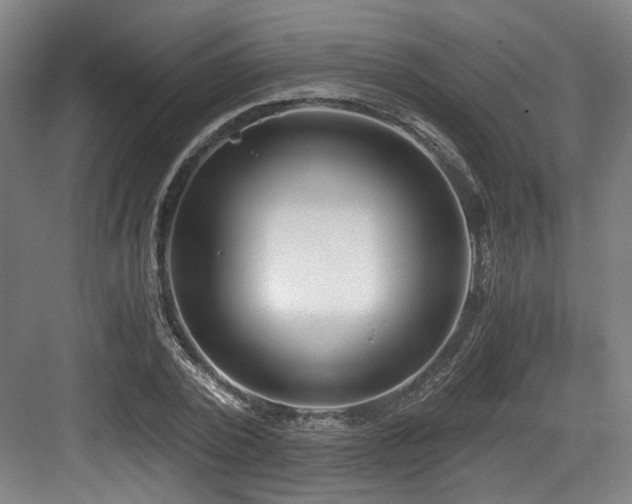 X0000084030784200702161433